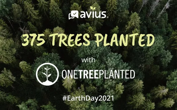 Avius Partners With One Tree Planted